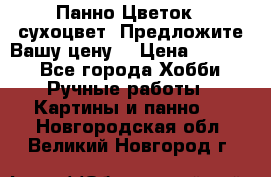 Панно Цветок - сухоцвет. Предложите Вашу цену! › Цена ­ 4 000 - Все города Хобби. Ручные работы » Картины и панно   . Новгородская обл.,Великий Новгород г.
